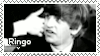 ringo